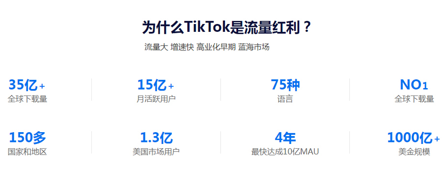 外贸网站开发Tiktok推广  第3张