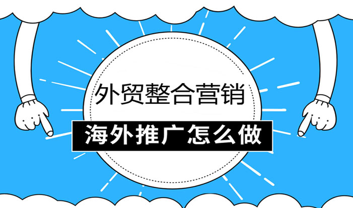 外贸网站开发外贸整合营销  第1张