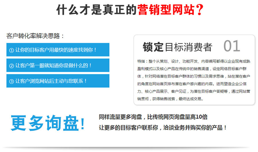 外贸网站开发营销型网站建设  第1张